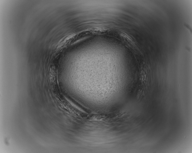 X0000099470773200805231829