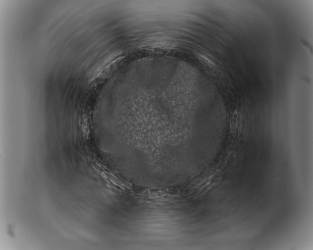 X0000099470774200805231829