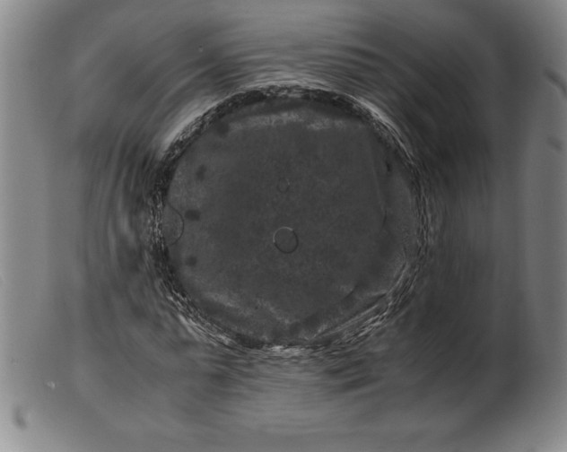 X0000099470775200805231829