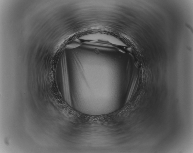 X0000099470776200805231829