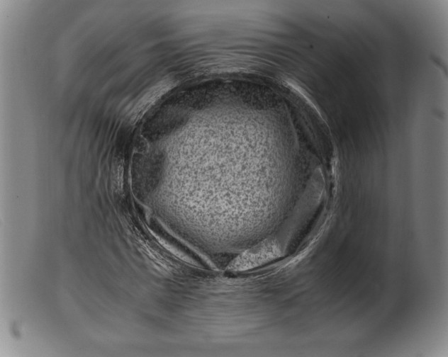 X0000099470777200805231829