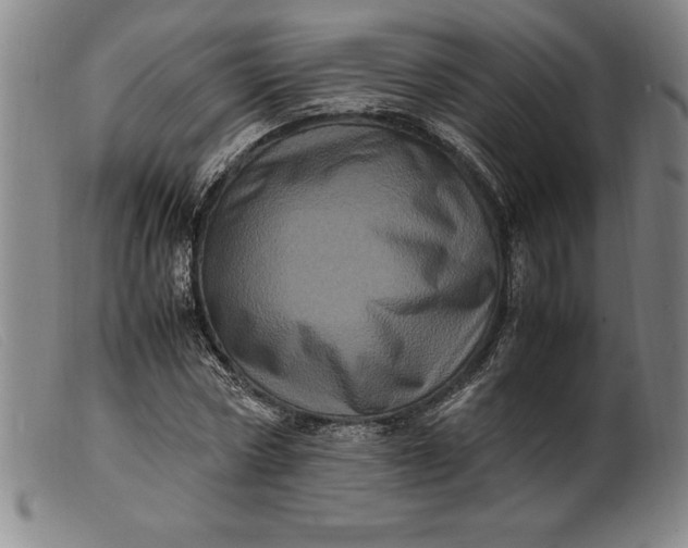 X0000099470778200805231829