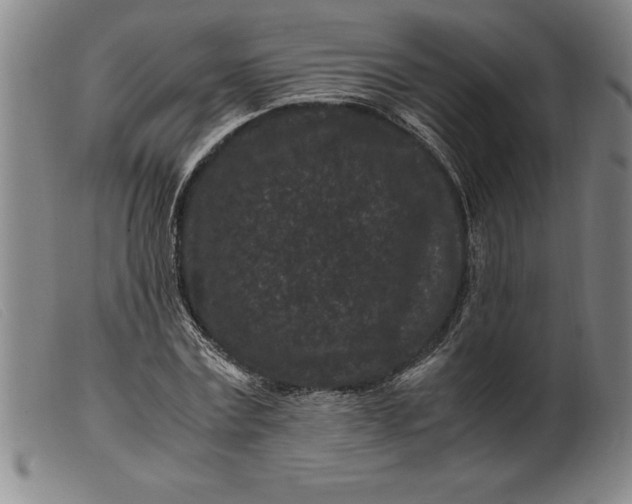 X0000099470779200805231829