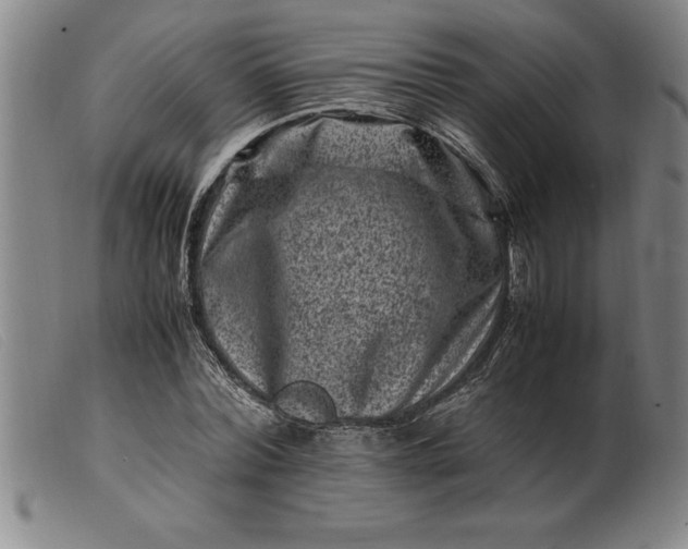X0000099470780200805231829