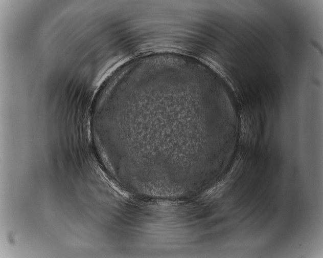 X0000099470782200805231829