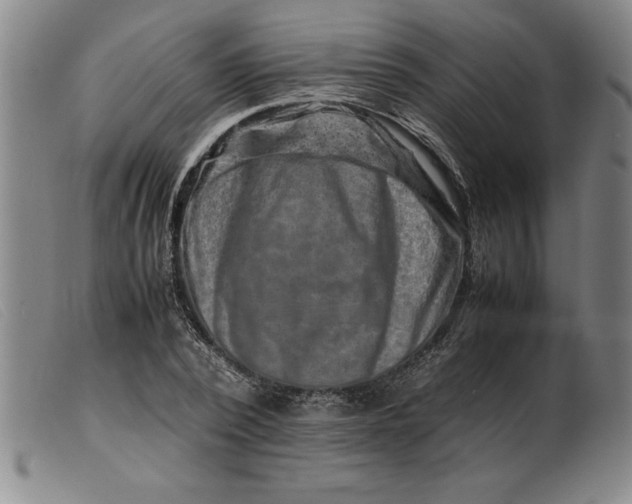 X0000099470784200805231829