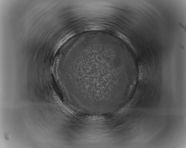 X0000099470786200805231829