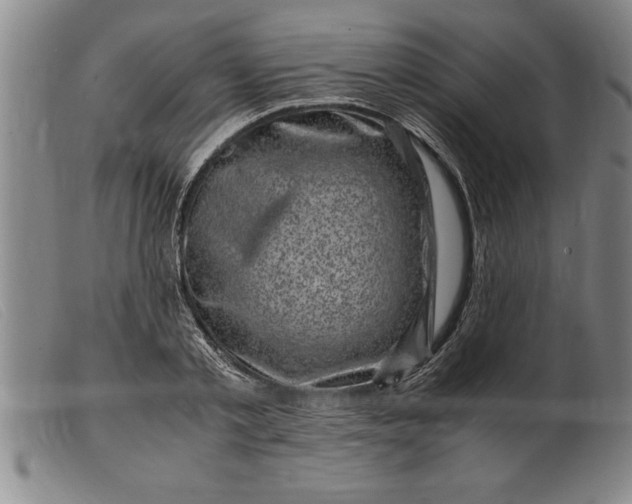 X0000099470789200805231829