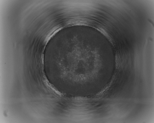 X0000099470790200805231829