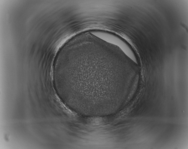 X0000099470791200805231829