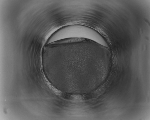 X0000099470792200805231829