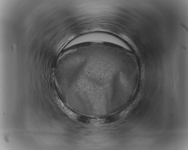 X0000099470793200805231829