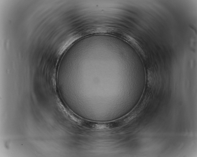 X0000099470794200805231829