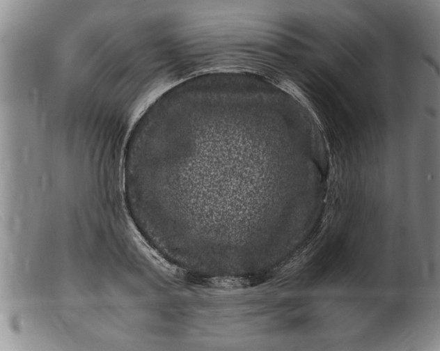 X0000099470795200805231829