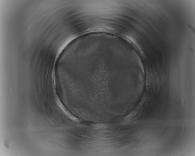 X0000099470796200805231829