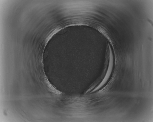 X0000099470797200805231829