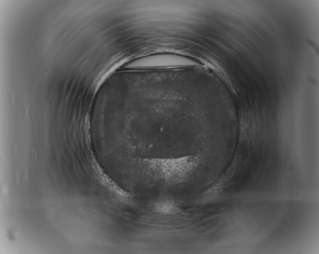 X0000099470798200805231829