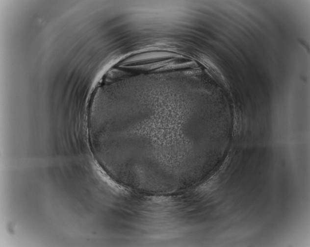 X0000099470800200805231829