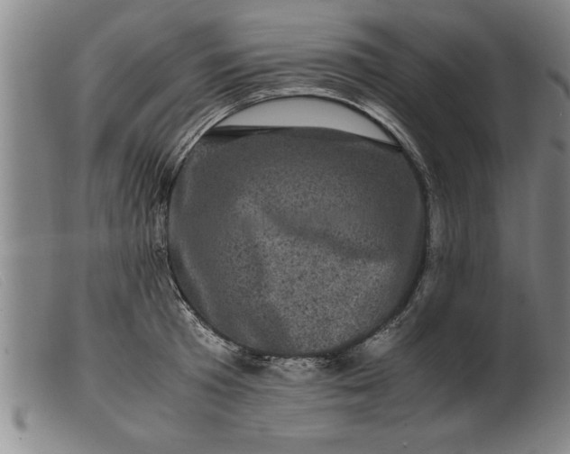 X0000099470801200805231829
