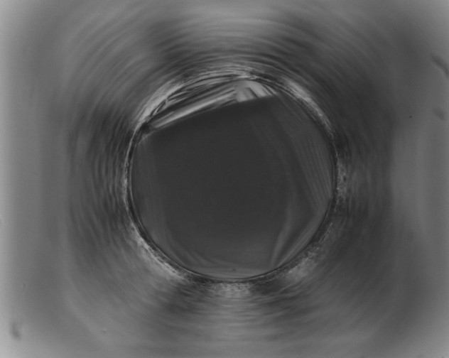 X0000099470802200805231829