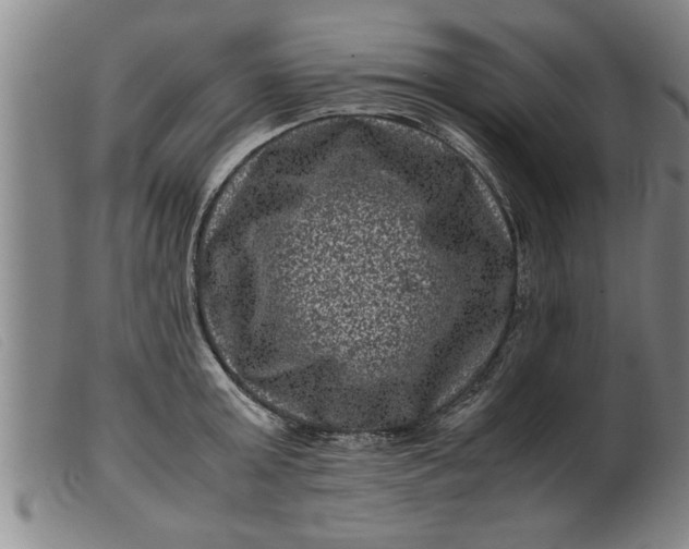 X0000099470803200805231829