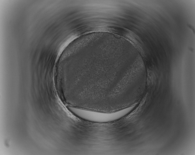 X0000099470804200805231829