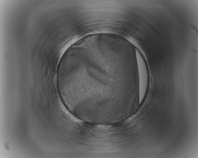 X0000099470805200805231829