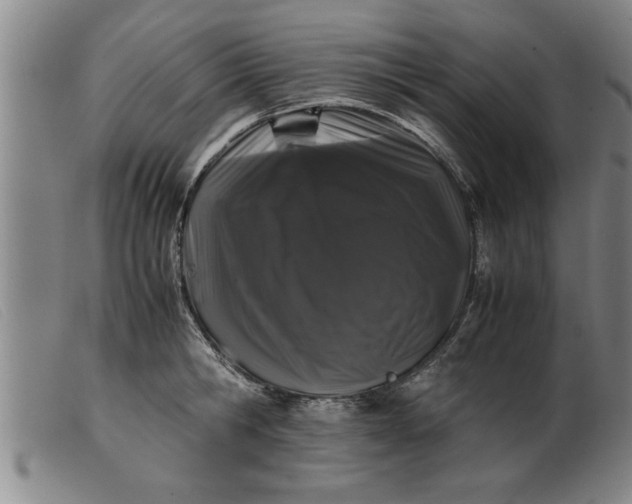 X0000099470806200805231829