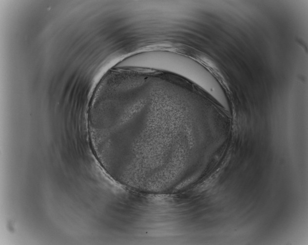 X0000099470808200805231829