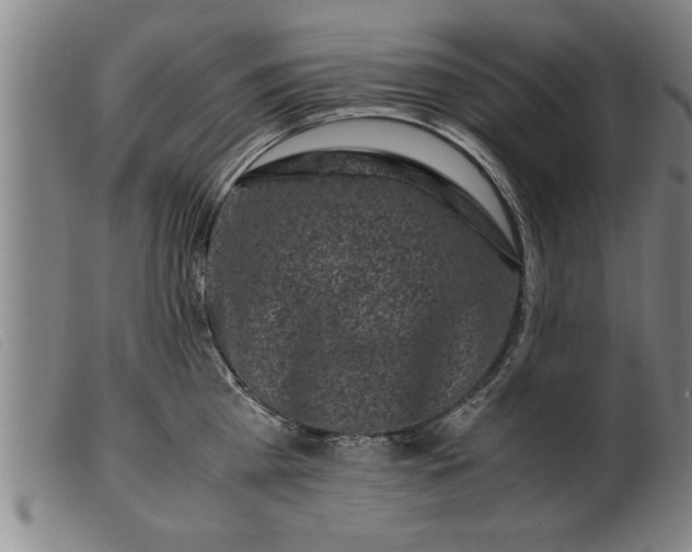 X0000099470809200805231828