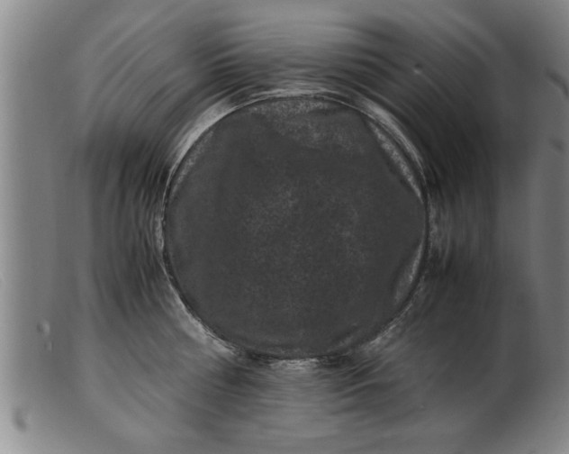 X0000099470810200805231828