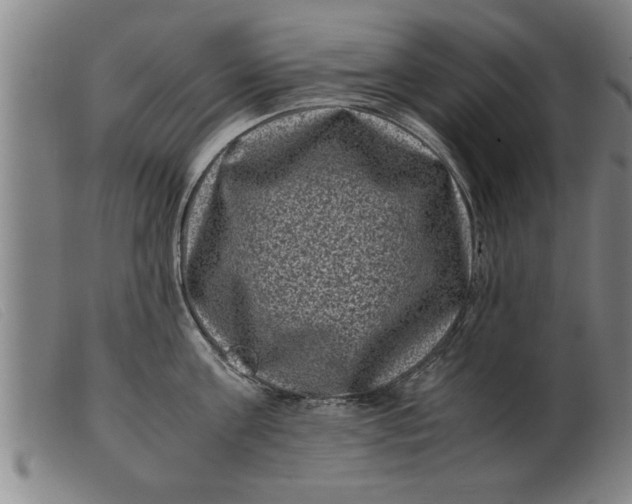 X0000099470811200805231828