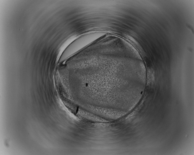 X0000099470812200805231828