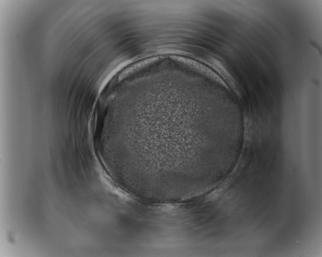 X0000099470814200805231828
