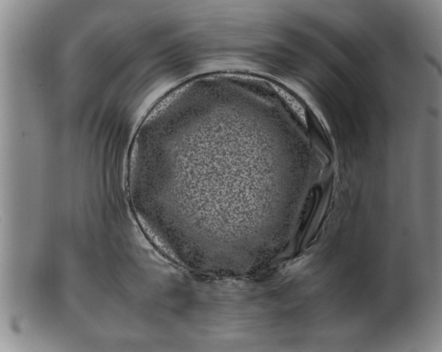 X0000099470815200805231828