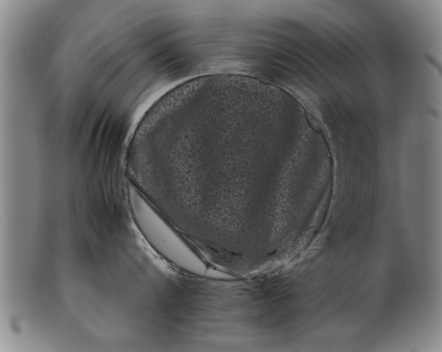 X0000099470816200805231828