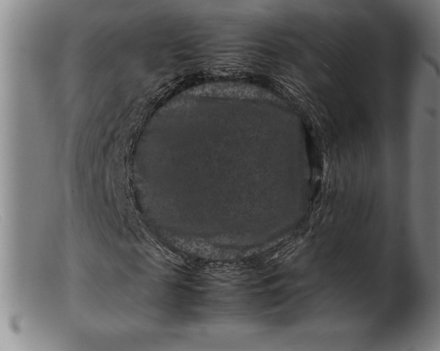 X0000099470817200805231828