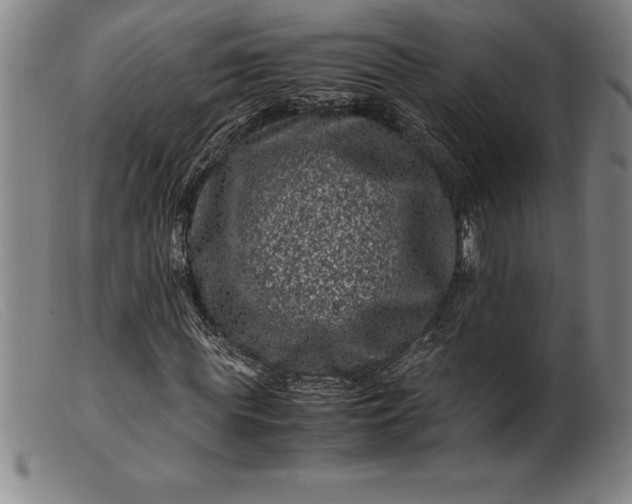 X0000099470819200805231828