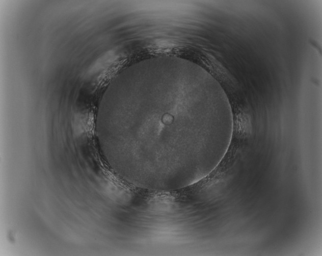 X0000099470820200805231828