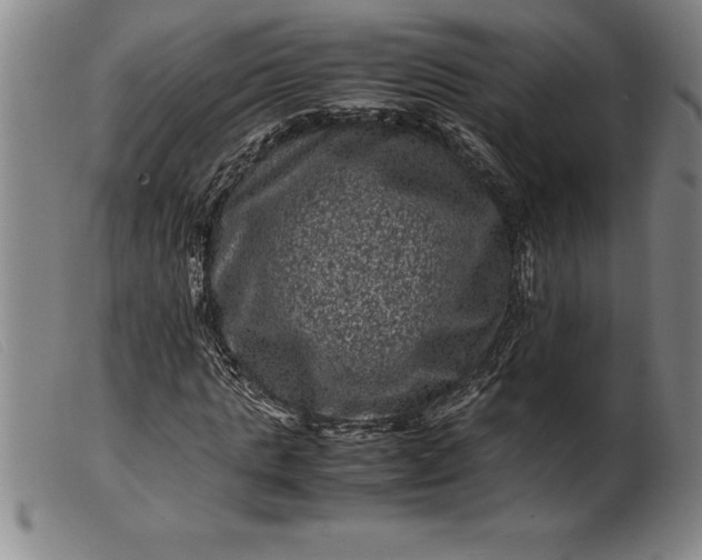 X0000099470821200805231828