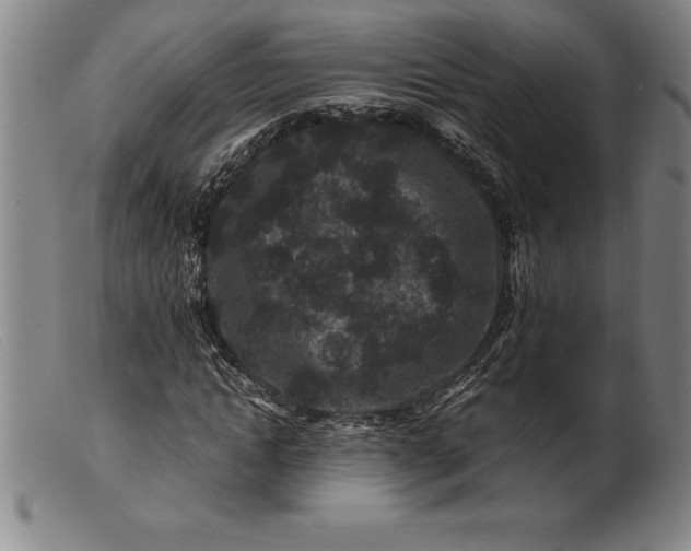 X0000099470822200805231828