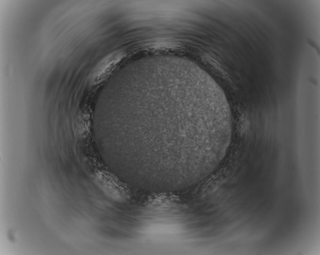 X0000099470824200805231828
