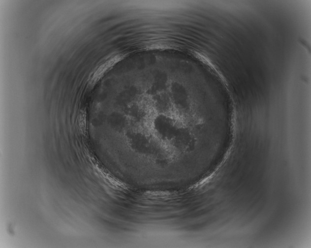 X0000099470825200805231828
