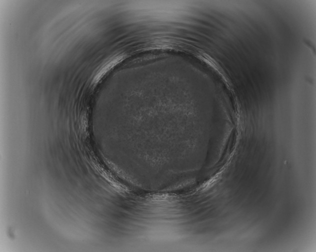 X0000099470826200805231828