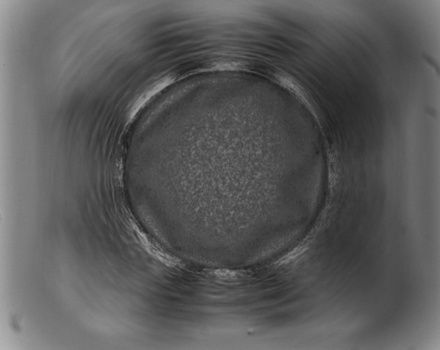 X0000099470827200805231828