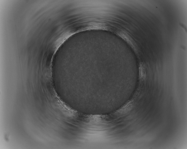 X0000099470828200805231828