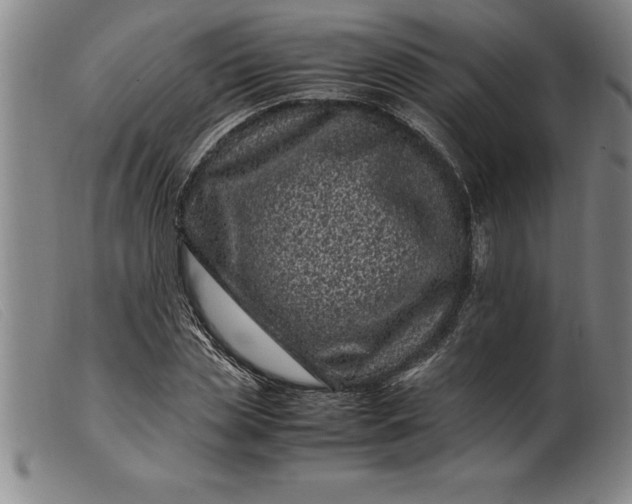 X0000099470829200805231828