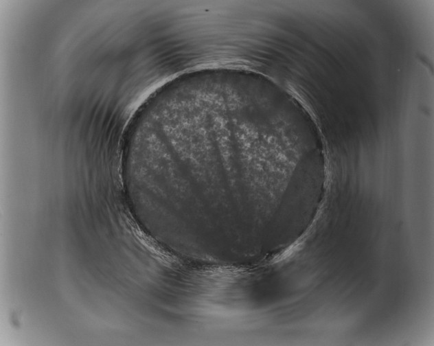 X0000099470830200805231828