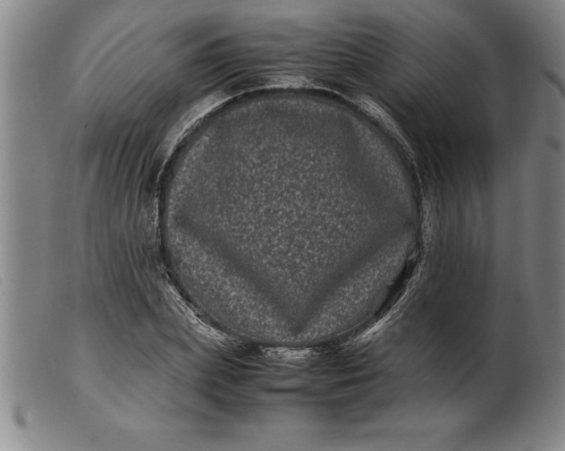 X0000099470831200805231828