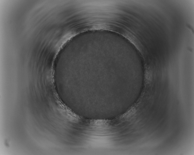 X0000099470832200805231828